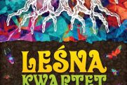 Ruszamy w miasto! Weekend w Rzeszowie [05-08.01.2017]