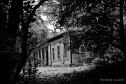 Zdjęcia pasjonatów fotografii z Nowej Dęby w WDK