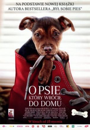 O psie, który wrócił do domu - Kino na temat