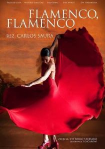 Flamenco, Flamenco