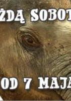 Poranki: Nela Mała Reporterka