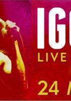 Iggy Pop: Live in Basel