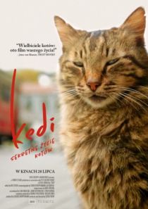 Kedi - sekretne życie kotów - mała sala