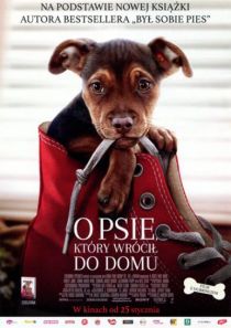 Kino na Temat: O psie, który wrócił do domu