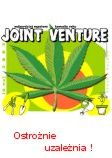 Joint Venture