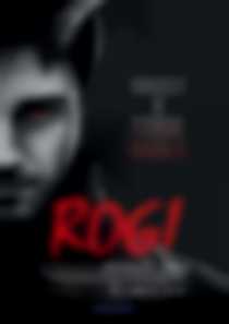 Rogi