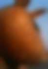 Miś