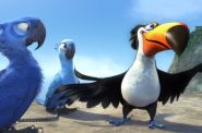 Rio 3D - kadr 1