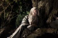 Hobbit. Niezwykła podróż 3D (dubbing) - kadr 2