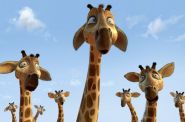 Zambezia 3D - kadr 3