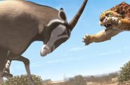 Kumba (3D) - kadr 2
