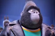 Sing (2D dubbing) - kadr 3