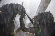 Obcy kontra Predator 2, dyst. Imperial - Cinepix