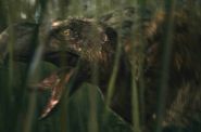 10.000 BC - kadr 4