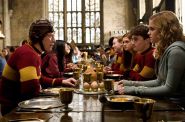 &copy; 2009 Warner Bros. Ent. Harry Potter Publishing Rights &copy; J.K.R.