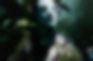 AVATAR 3D - kadr 4