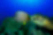Ocean przygód 3D - kadr 1