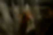 Silent Hill: Apokalipsa 3D - kadr 3