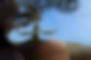 Fot. Helios
