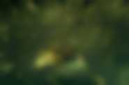 Fot. Helios