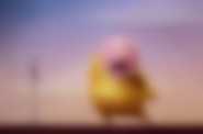 Sing (2D dubbing) - kadr 1