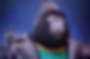 Sing (2D dubbing) - kadr 3