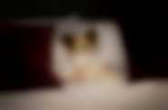 Profil facebookowy Show Dogs Movie