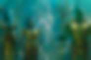 Aquaman (3D, dubbing) - kadr 4