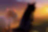 fot. Monolith Films