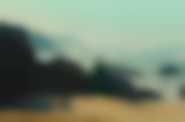fot. Multikino