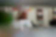 dyst. SPInka