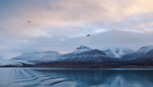 Rzeszowskie Spotkanie z Podróżami. Karpacka Terra Nova i Spitsbergen