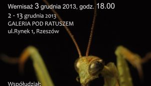 Wystawa fotografii Sebastiana Łukaszyka