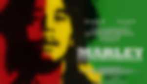 DKF Klaps: &quot;Marley&quot;