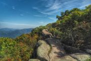 Rzeszowskie Spotkania z Podróżami: Appalachian Trail - Szlak (nie) dla każdego?