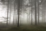 Spotkanie z Pawłem Pabianem, zdobywcą Diademu Polskich Gór