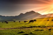 "Piękna Mongolia" - wystawa fotografii, pokaz strojów, degustacja potraw w WDK